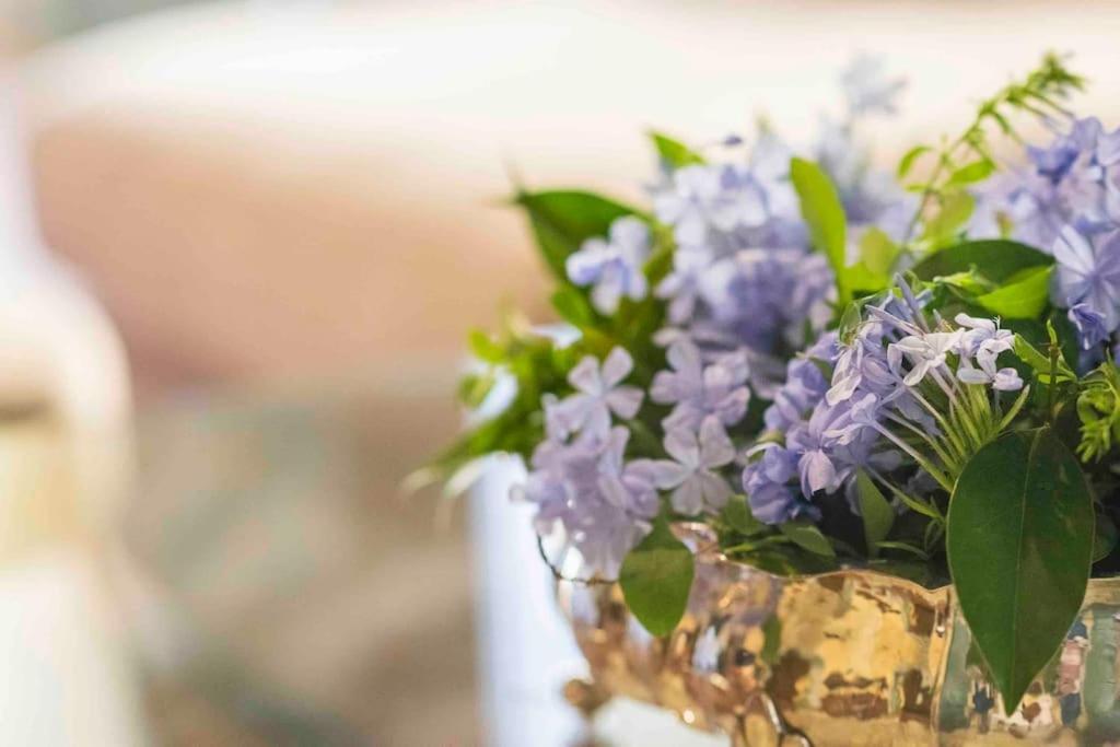 Ginny'S House- Borgo La Croce Luxury Apartment فلورنس المظهر الخارجي الصورة